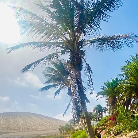 Olas De Lobos Коральео