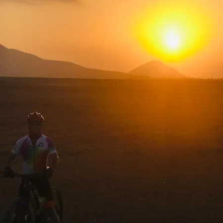 Olas De Lobos * Коральео