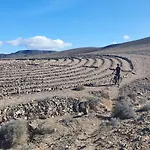 Апартаменты Olas De Lobos Коральео